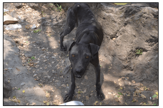 Screen Shot 2018-07-16 at 6.11.23 PM